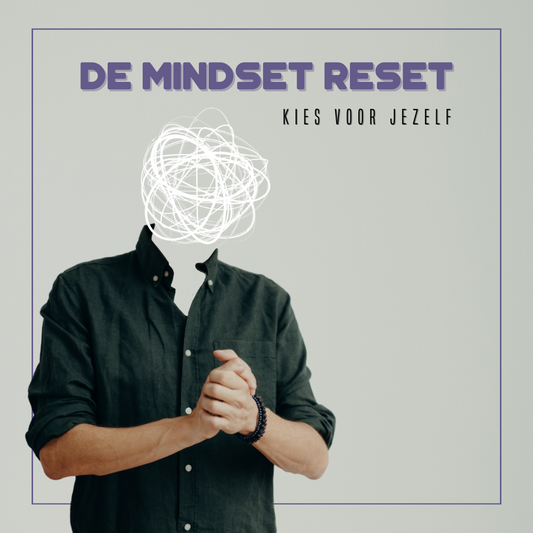 De Mindset Reset - aan de slag met je gedachten